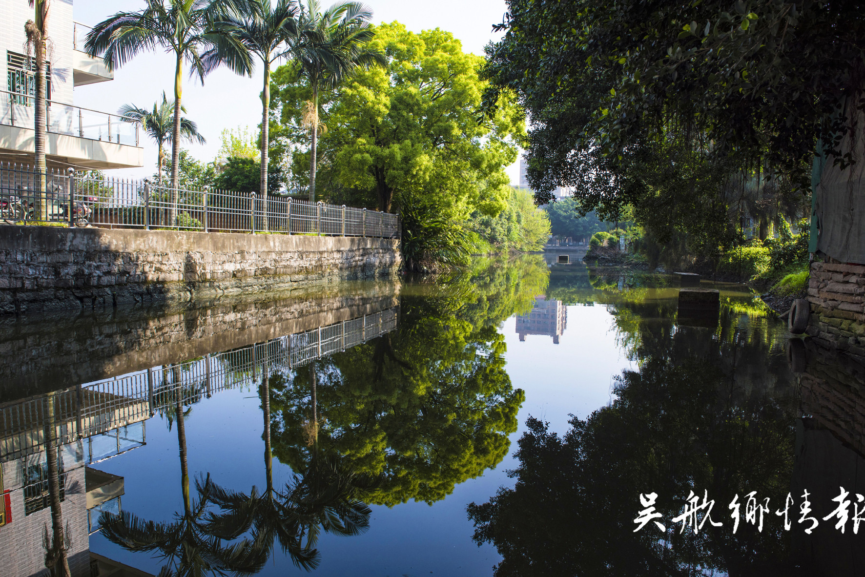 清清道頭浦 悠悠水鄉(xiāng)情