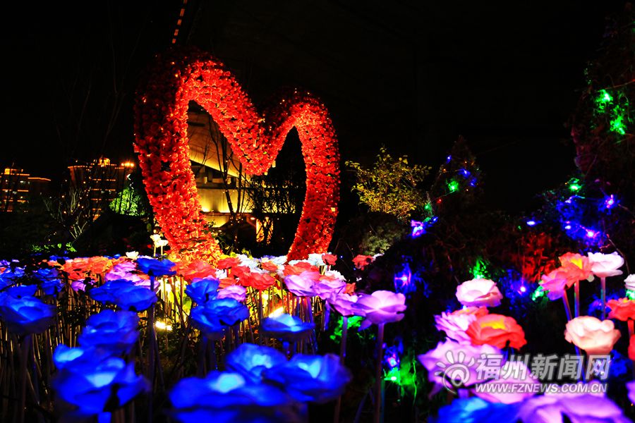 五城區(qū)昨夜全面亮燈　江心公園點亮“玫瑰花燈”