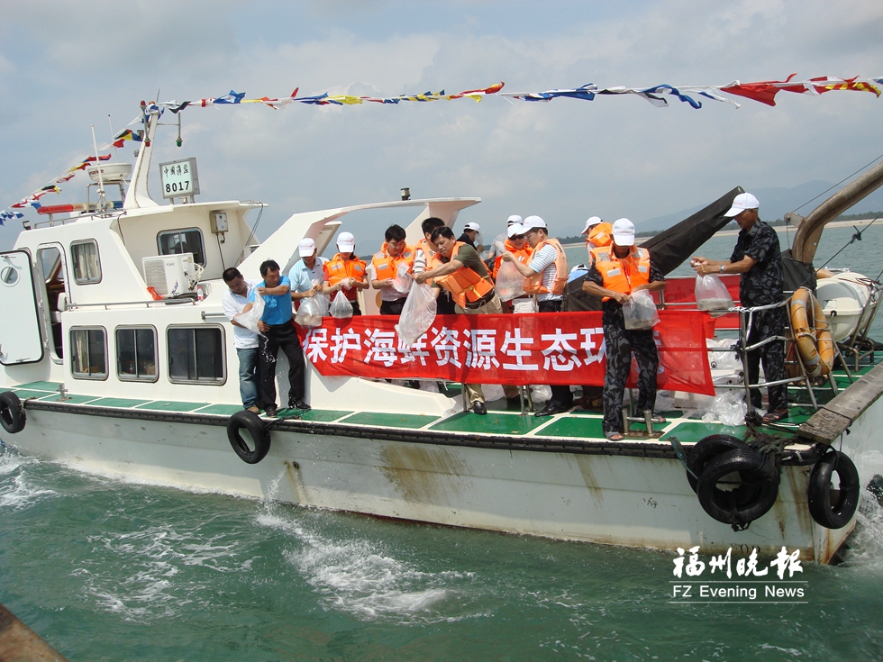 休養(yǎng)32年　漳港海蚌將“重出江湖”