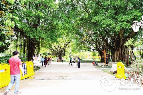 圍擋拆除，在未干的水泥上鋪上鐵板，方便市民游園