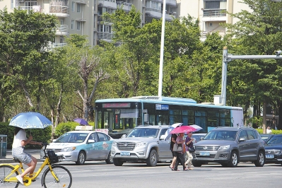 福州斑馬線禮讓整治將成常態(tài)