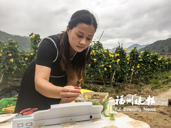 福州建立全省首個村級蔬菜檢測制度　把關(guān)菜籃子安全