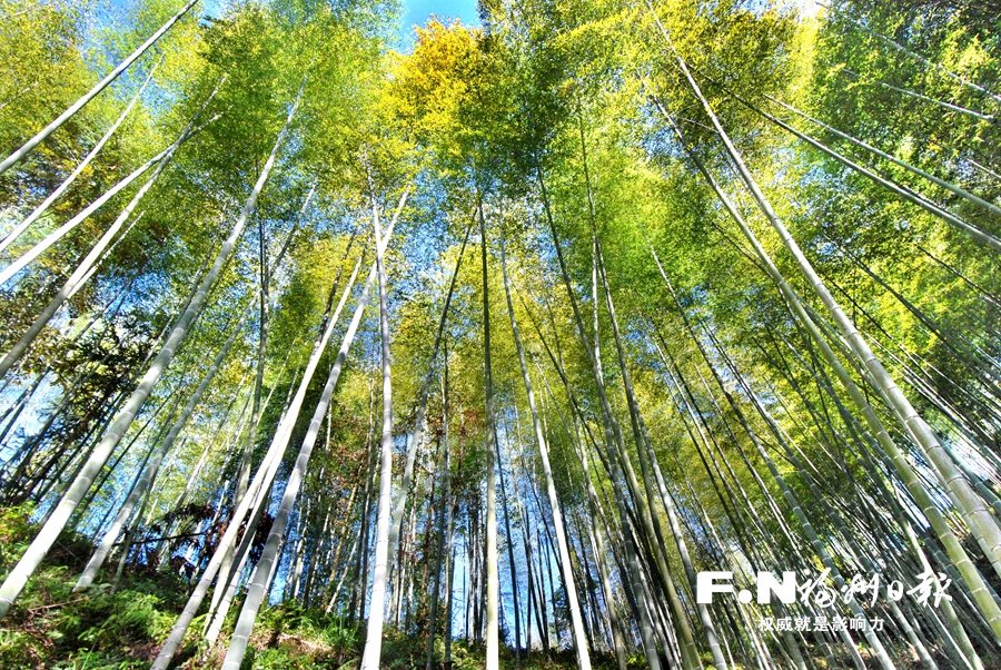 守住綠水青山 共享綠色福祉——福州市全面深化改革系列報(bào)道之七