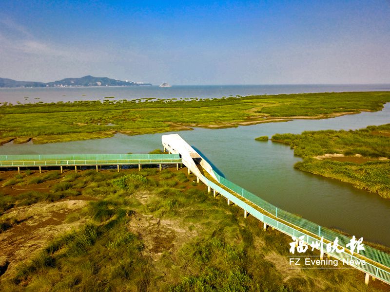 閩江河口濕地堅持綠色發(fā)展理念 守住生態(tài)保護底線