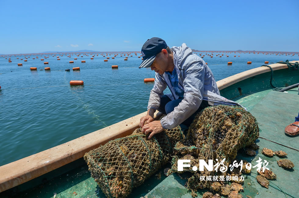 福州以中央生態(tài)環(huán)保督察為契機(jī) 全面提升生態(tài)文明建設(shè)水平