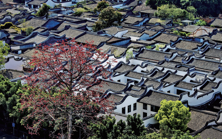 福州：始終心懷珍愛之心尊崇之心,，全力守護(hù)文化之根城市之魂