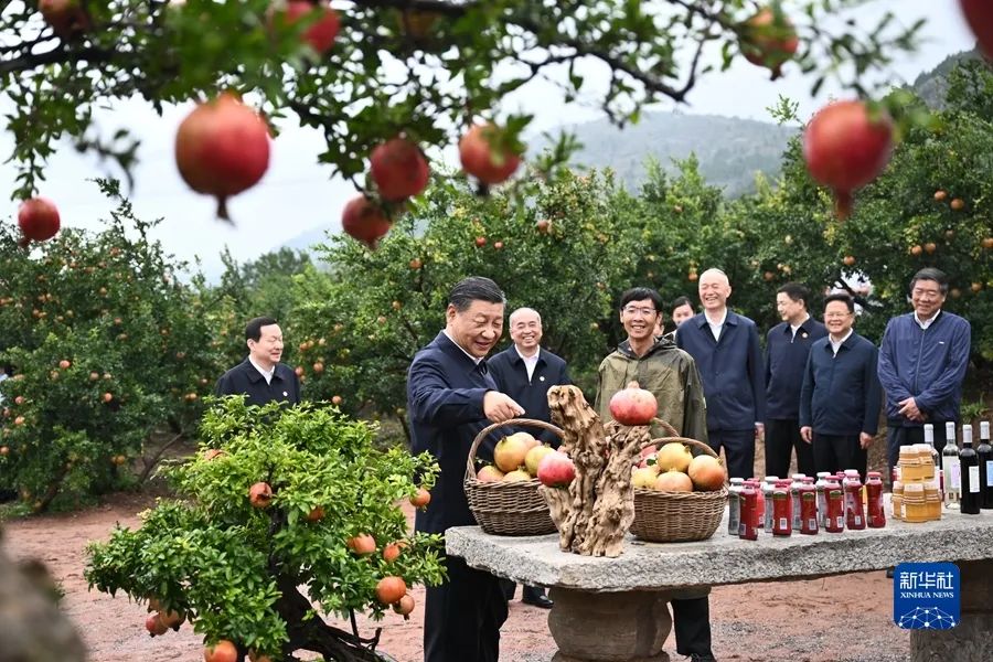 習(xí)近平在浙江考察時(shí)強(qiáng)調(diào) 始終干在實(shí)處走在前列勇立潮頭 奮力譜寫中國式現(xiàn)代化浙江新篇章 返京途中在山東棗莊考察