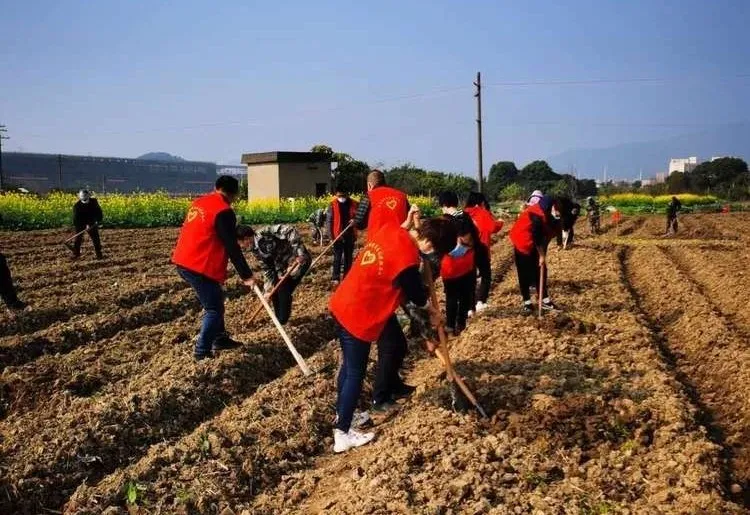 首占鎮(zhèn)：植樹(shù)不耽擱 防疫不松勁