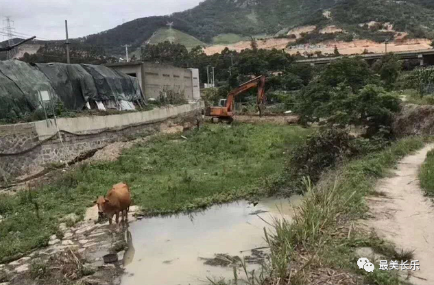 新覽村：一村一落皆美景 美麗鄉(xiāng)村入畫來