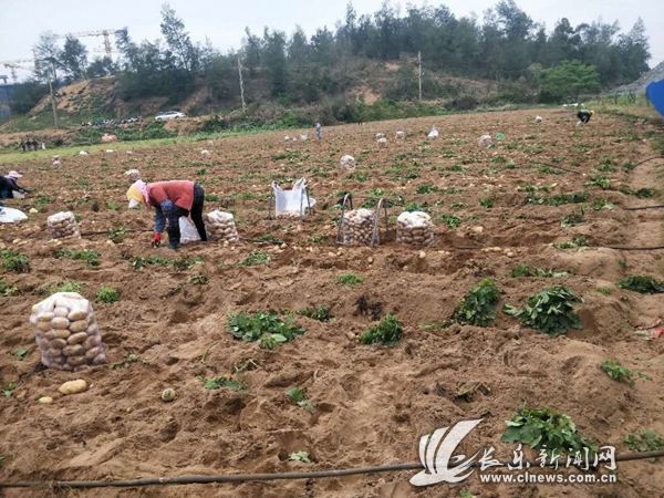 拔釘子,！文嶺鎮(zhèn)3天2夜迅速突破,，完成4個項目征遷交地！