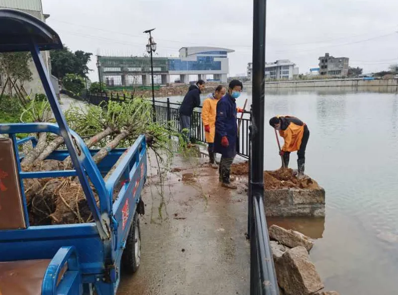 岐頭社區(qū)：喚醒百年古村落 留住鄉(xiāng)愁留住根