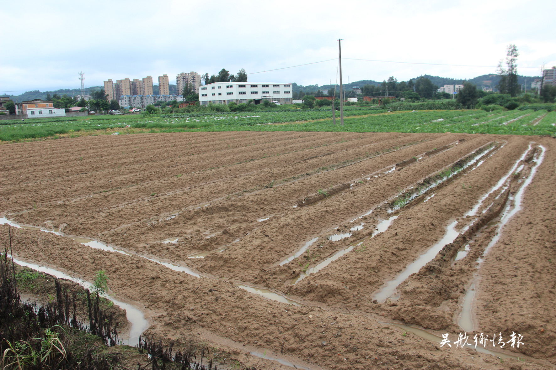 留住土地精華 推動(dòng)農(nóng)業(yè)發(fā)展