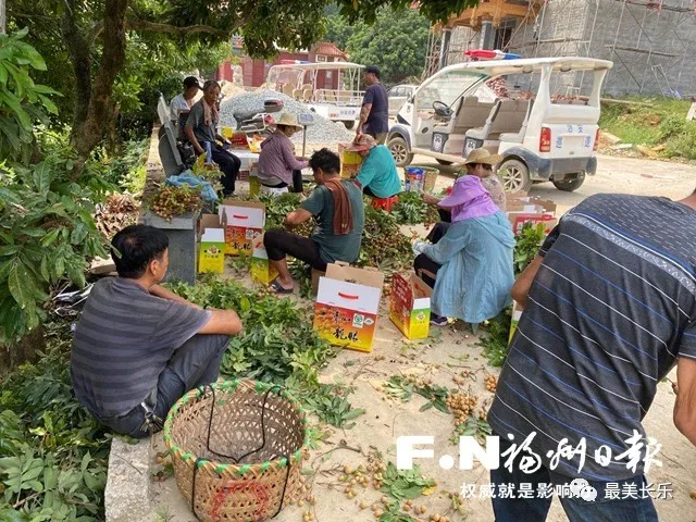 擦亮貢果品牌，清水呼應青山