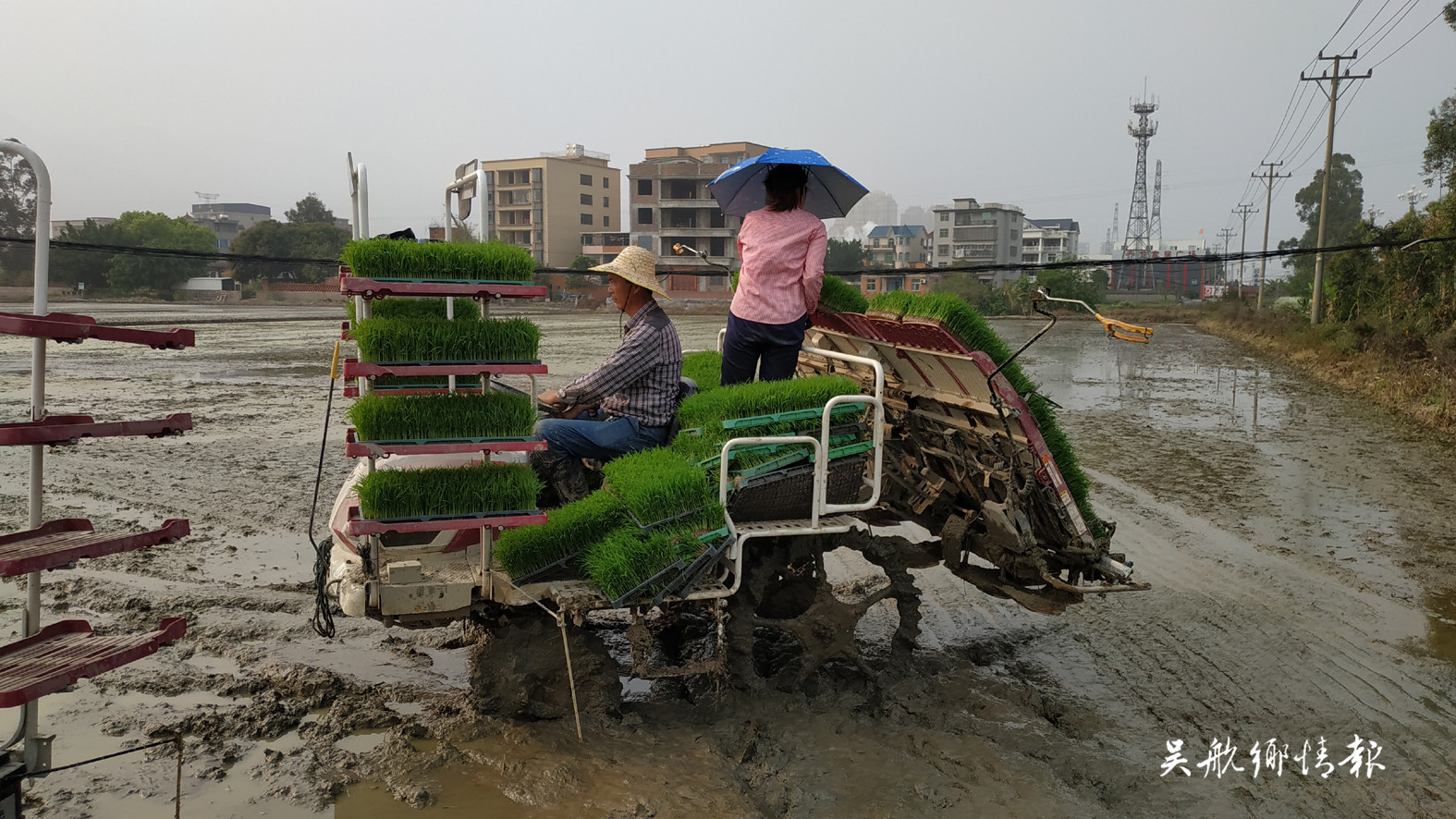 古槐鎮(zhèn)：農(nóng)機(jī)鬧春耕 插秧快又好