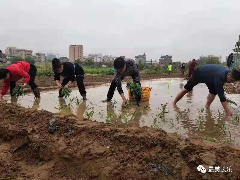 百戶村：凝聚人心 共建家園