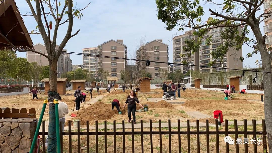 閑置地變身“共享菜園” 鵬謝村環(huán)境更美 生活更“田”