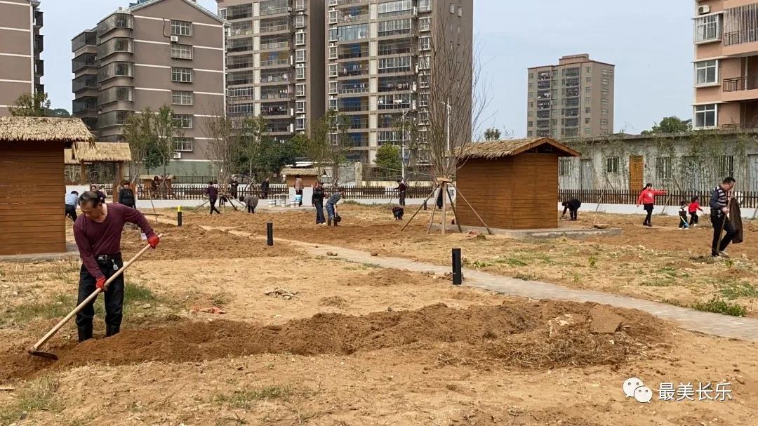 閑置地變身“共享菜園” 鵬謝村環(huán)境更美 生活更“田”