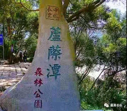 五竹村的鄉(xiāng)村振興“密碼”：盤活土地資源 做好山水文章