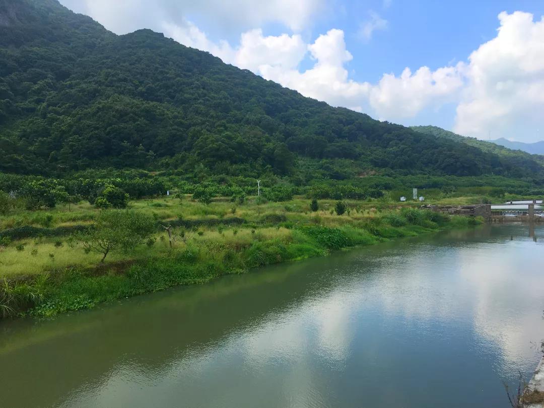 四季采摘熱 山村人氣旺 長樂江田鎮(zhèn)游溪村推廣水果種植促振興