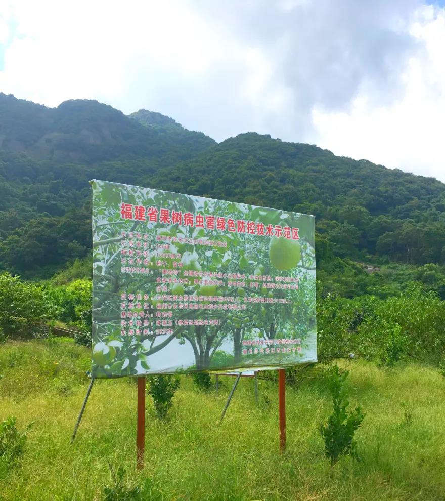 四季采摘熱 山村人氣旺 長樂江田鎮(zhèn)游溪村推廣水果種植促振興