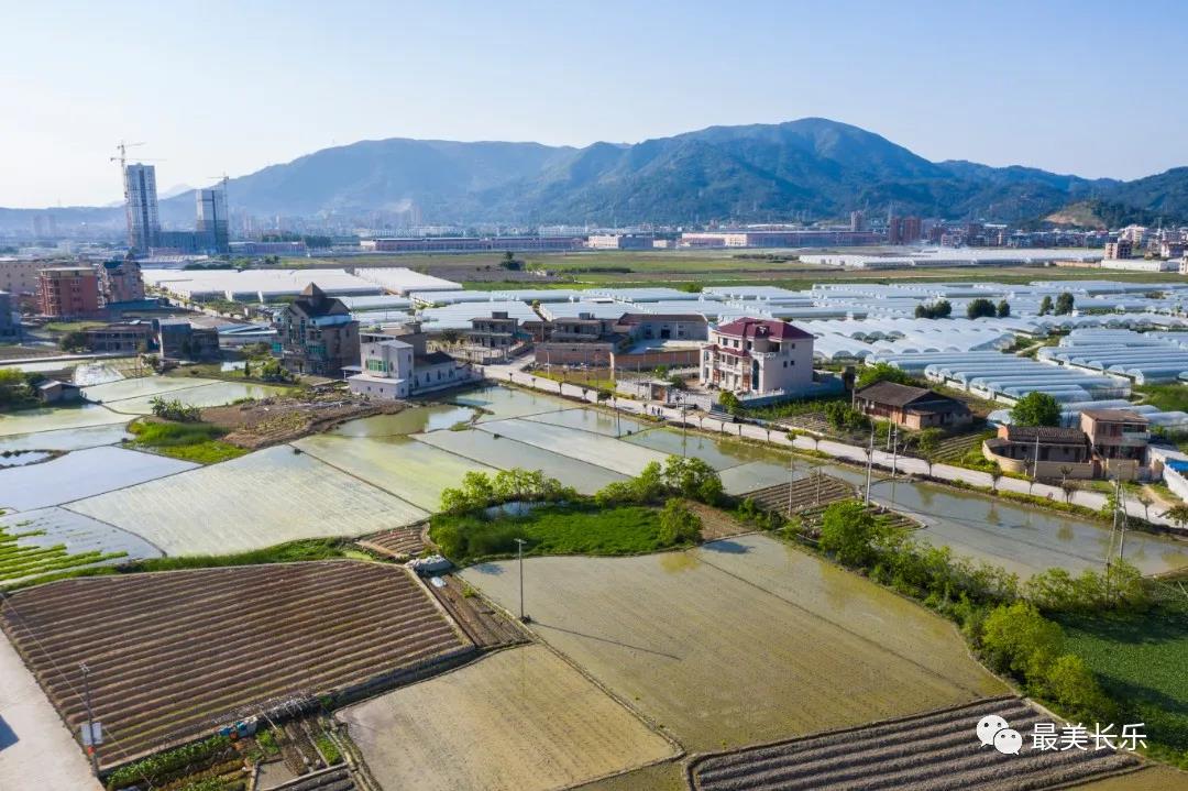 東平村：解鎖鄉(xiāng)村振興“密碼” 共建美好家園