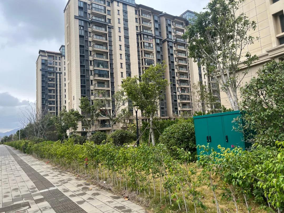 文武砂街道壺新社區(qū)：智慧社區(qū)的“智”生活