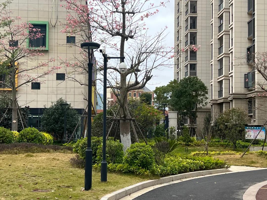 文武砂街道壺新社區(qū)：智慧社區(qū)的“智”生活