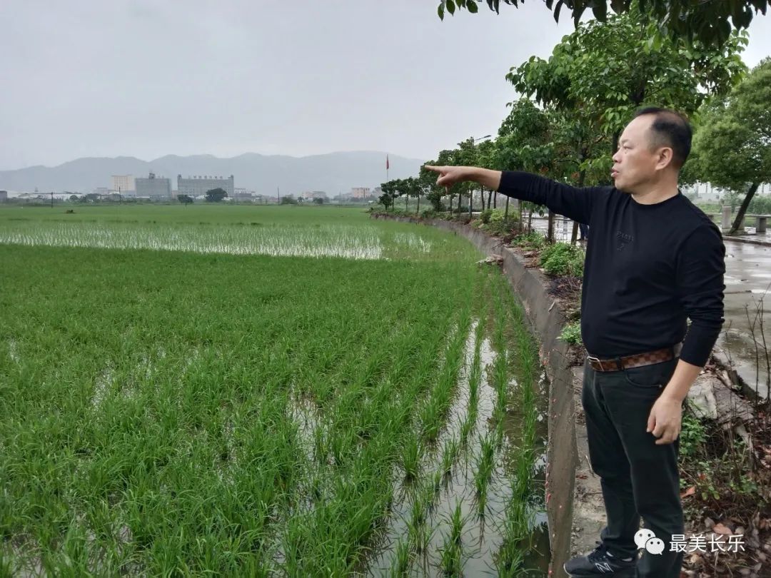 改革動(dòng)態(tài)|田長制，護(hù)耕地,！長樂農(nóng)民有福氣,！