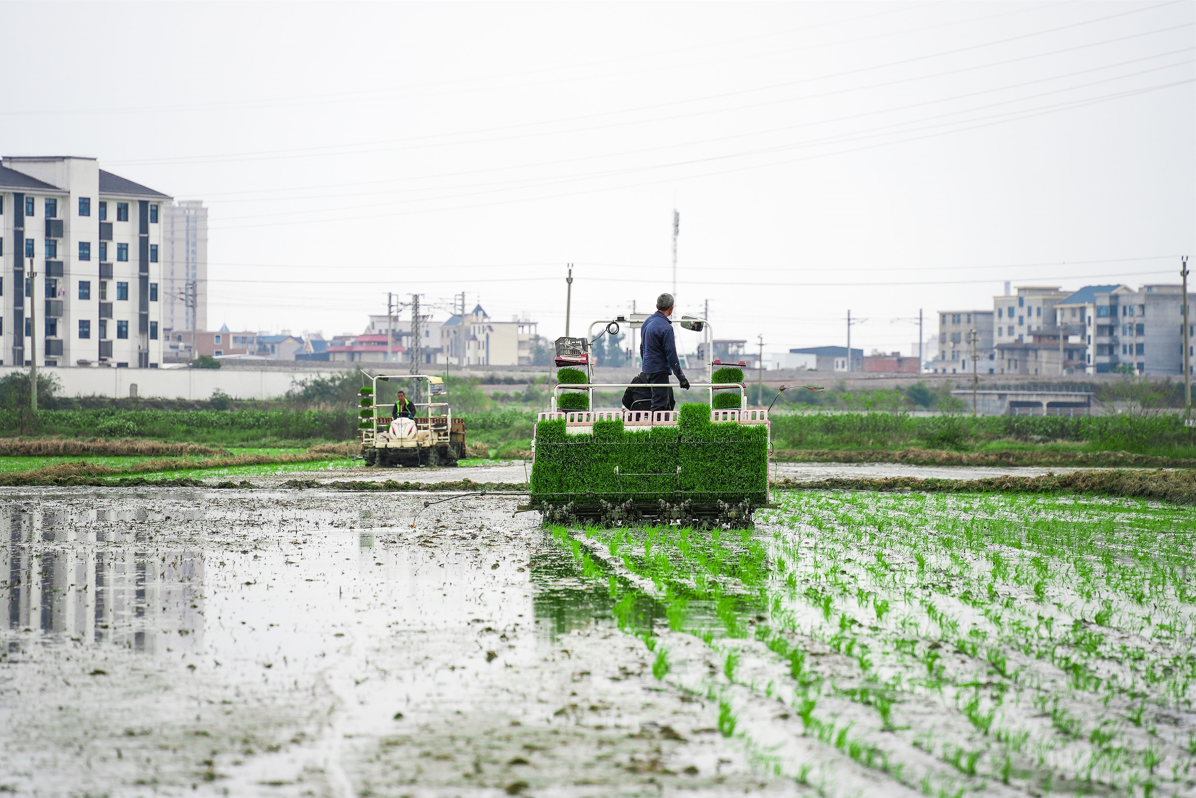 亮了,！機(jī)械化作業(yè)為長樂春耕打開新圖景