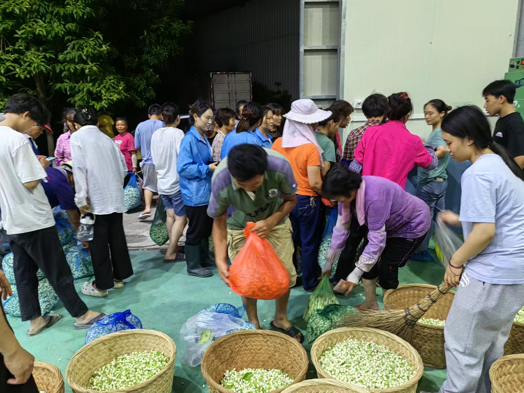 “香”承百年,！看長樂這朵花是如何開出“真金白銀”的……