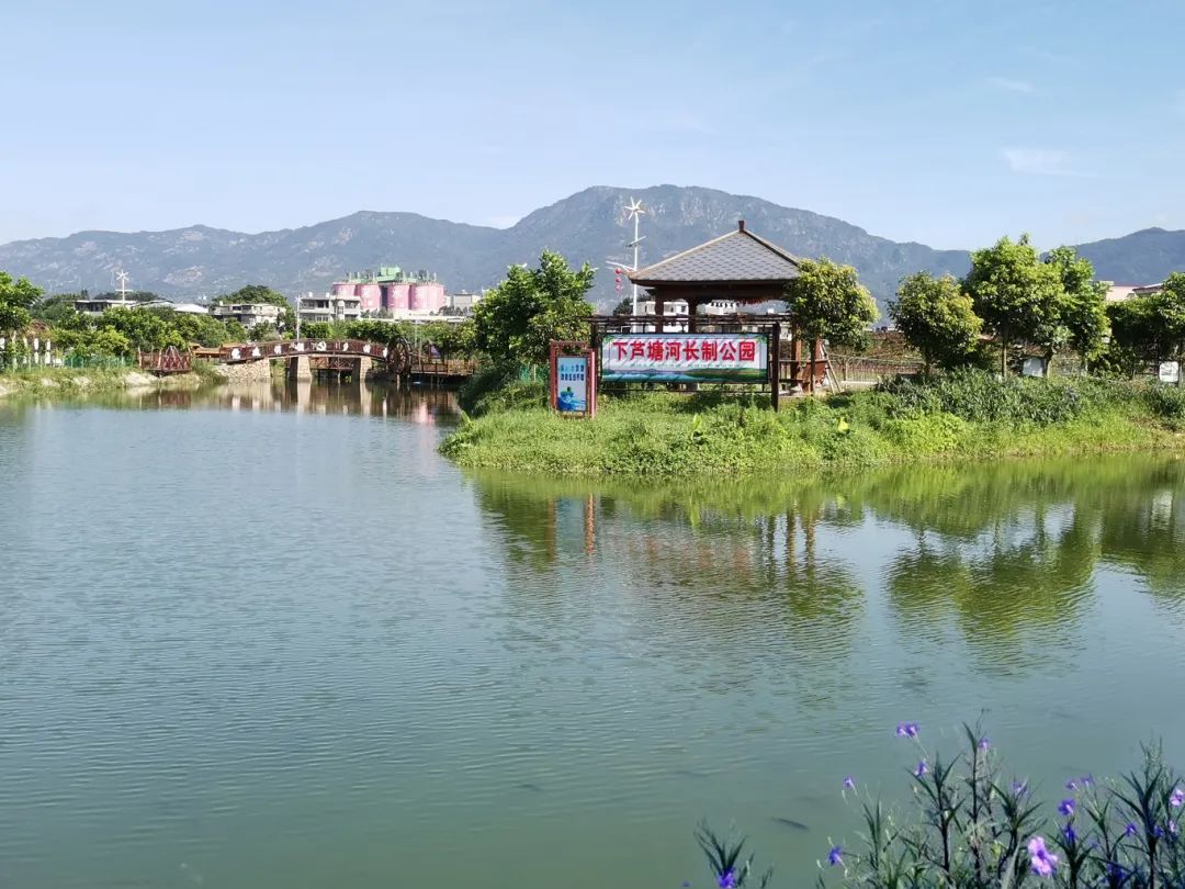 刷出“高顏值”！長(zhǎng)樂(lè)這個(gè)村居的小妙招有“魔力”