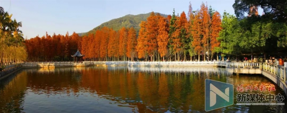 即將跌破15℃！福州人11月要警惕這些疾病！