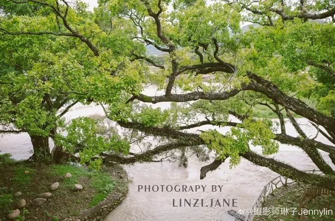 吃蛋燕、拍美照……福州這處千年古鎮(zhèn)，秋天去正好！