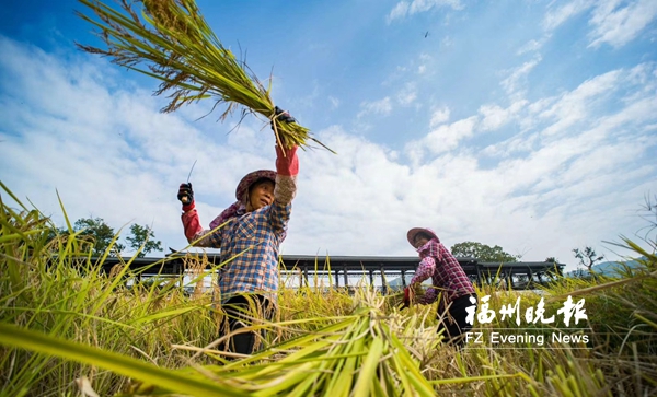 福州淳樸民風(fēng)榜樣村巡禮活動啟動