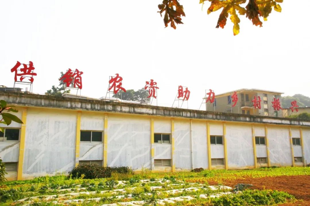 報(bào)告！長(zhǎng)樂(lè)“糧草”已備足
