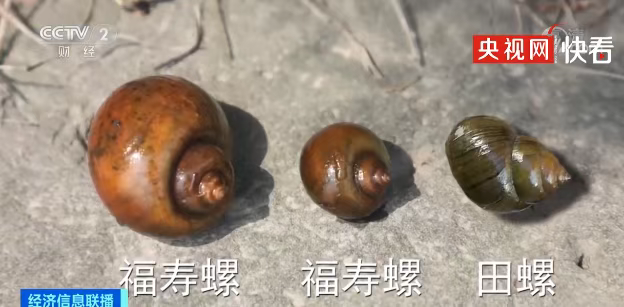 粉色預(yù)警！長樂人千萬別碰