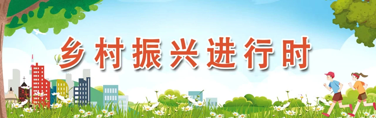 長樂：糧田“新”變