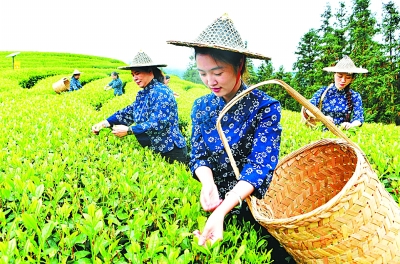 福建：山與海的交響