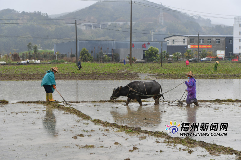 王寧：狠抓春耕生產(chǎn)和脫貧攻堅(jiān)任務(wù)落實(shí)