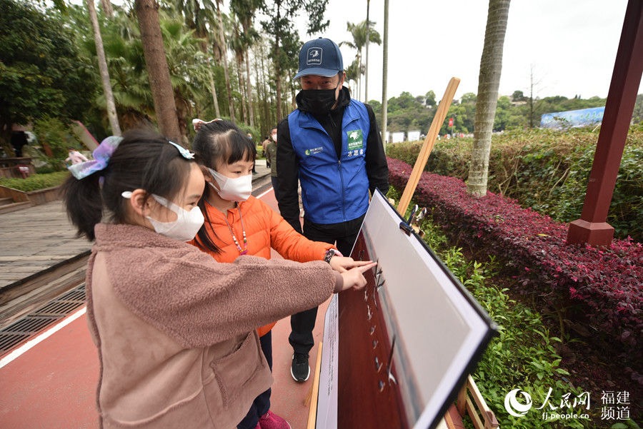 呵護(hù)鳥類 共建美好家園 福建迎來(lái)第三十八屆愛鳥周