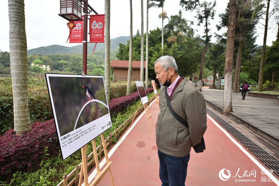 呵護(hù)鳥類 共建美好家園 福建迎來(lái)第三十八屆愛鳥周