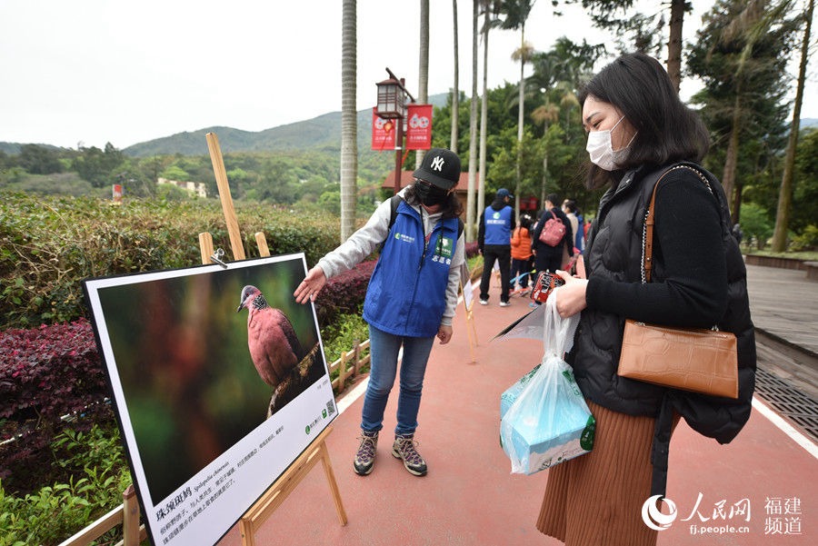 呵護(hù)鳥類 共建美好家園 福建迎來(lái)第三十八屆愛鳥周