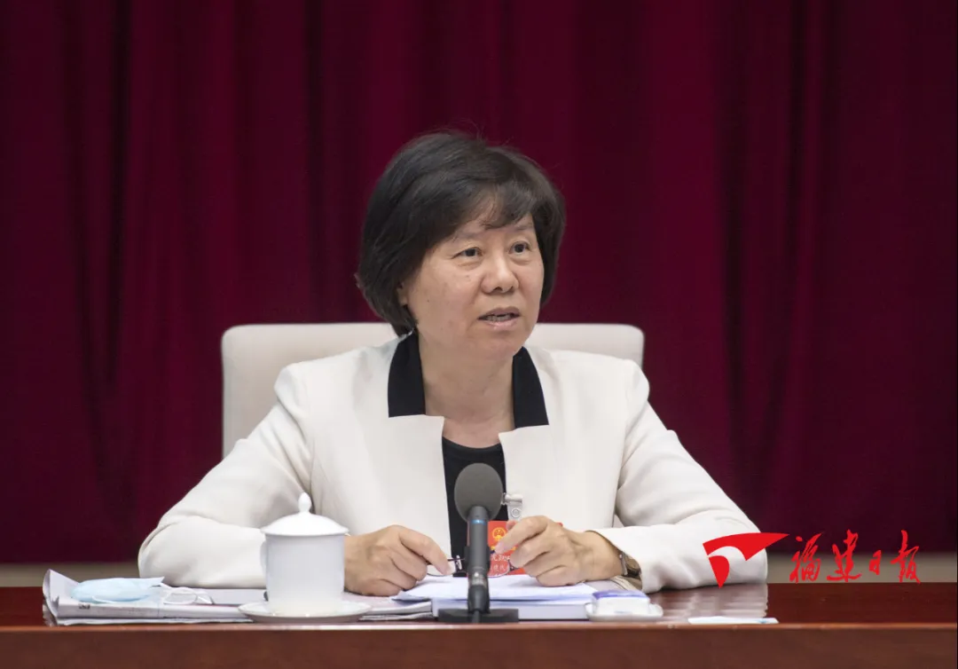 福建代表團分組審議民法典草案
