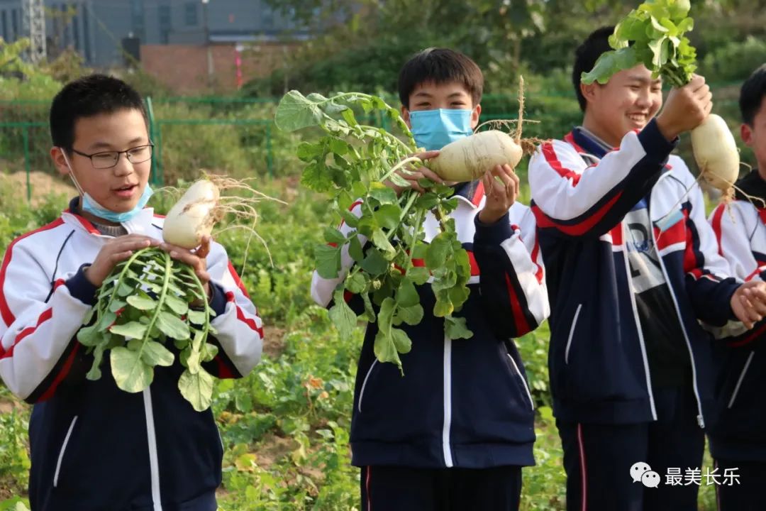 勞動實踐基地“大豐收”，這個學(xué)校的做法亮了!