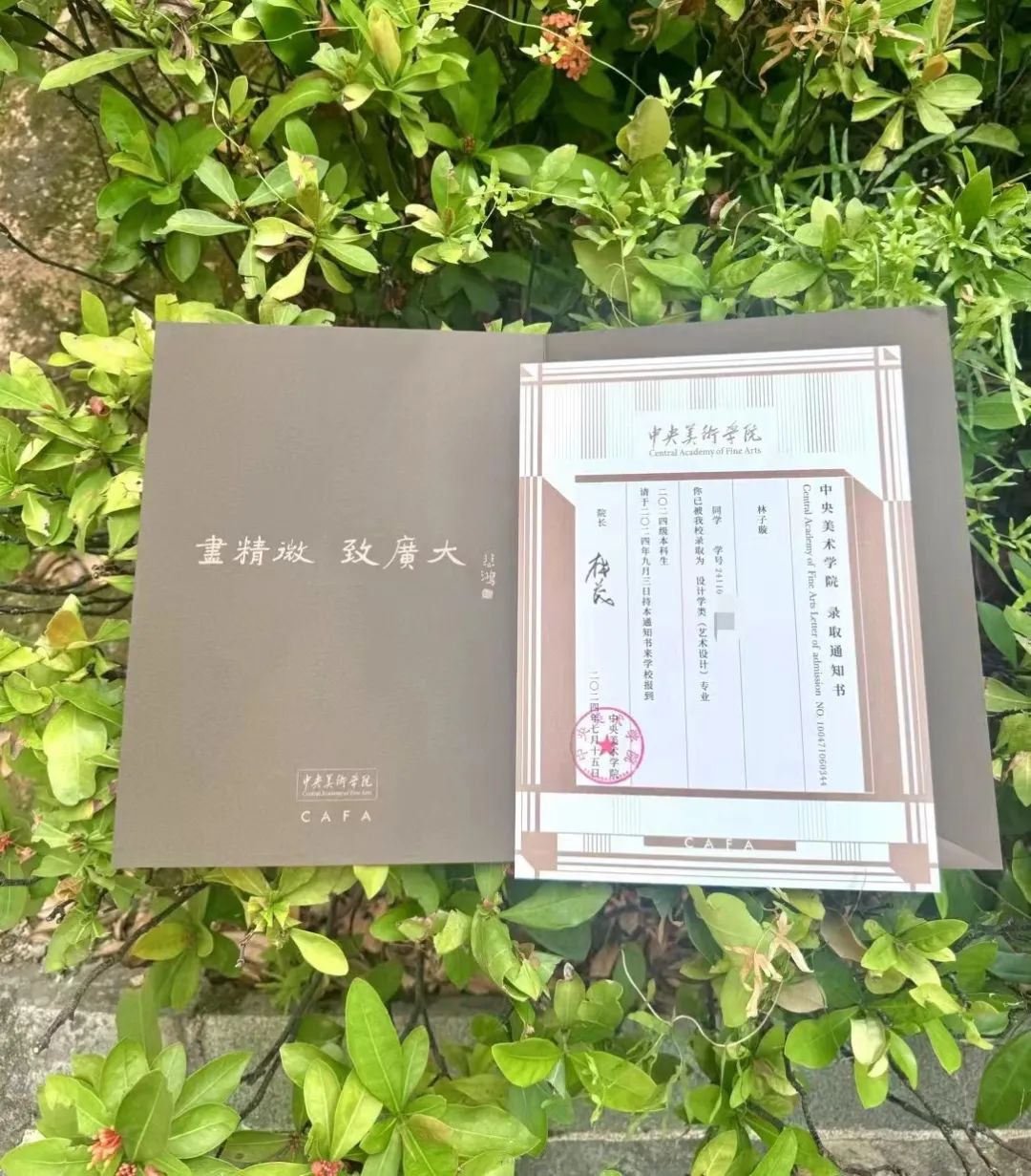 收到高考錄取通知書，這些長樂學(xué)子說……