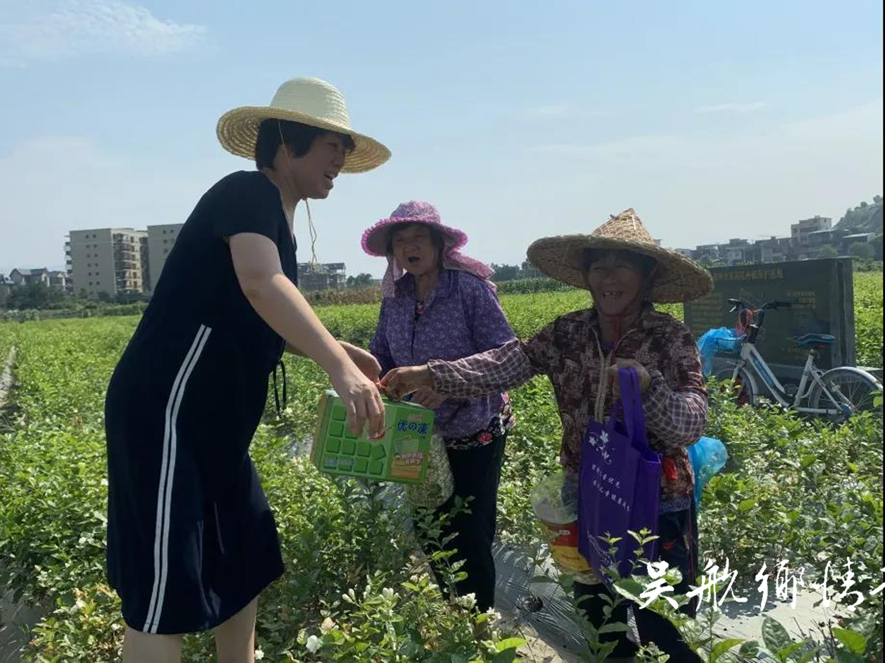 區(qū)婦聯(lián)赴“雙百雙千”重點農業(yè)基地走訪慰問