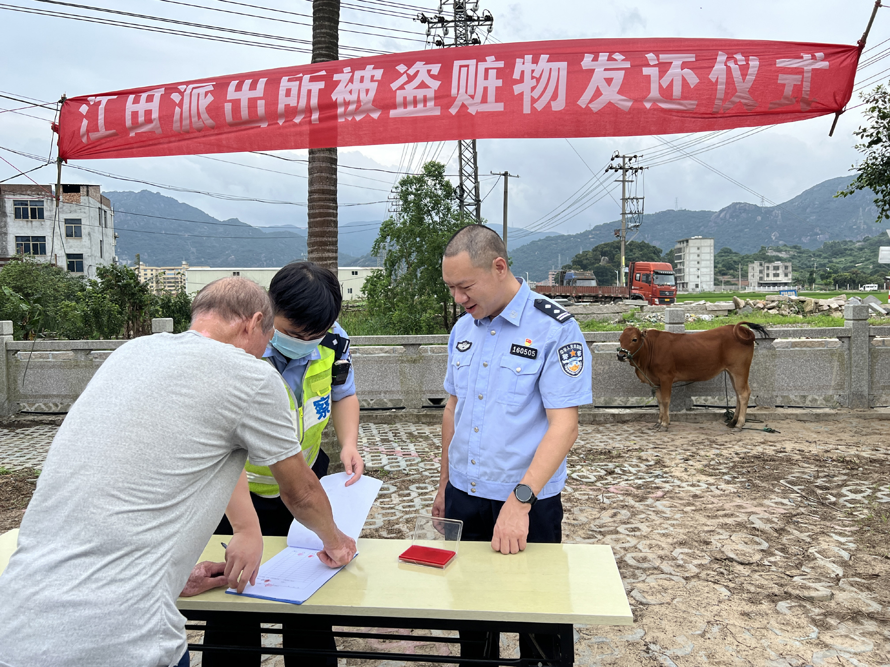 民警迅速破案 返還被盜耕牛