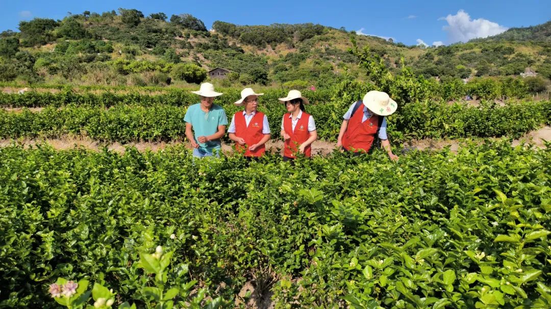 萬名干部下基層：深入田間地頭 破解農村金融難題