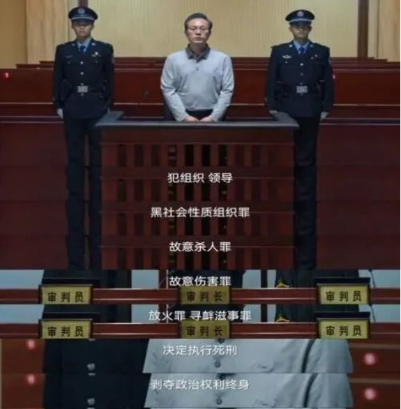 《狂飆》劇終后,，來看看《中華人民共和國反有組織犯罪法》