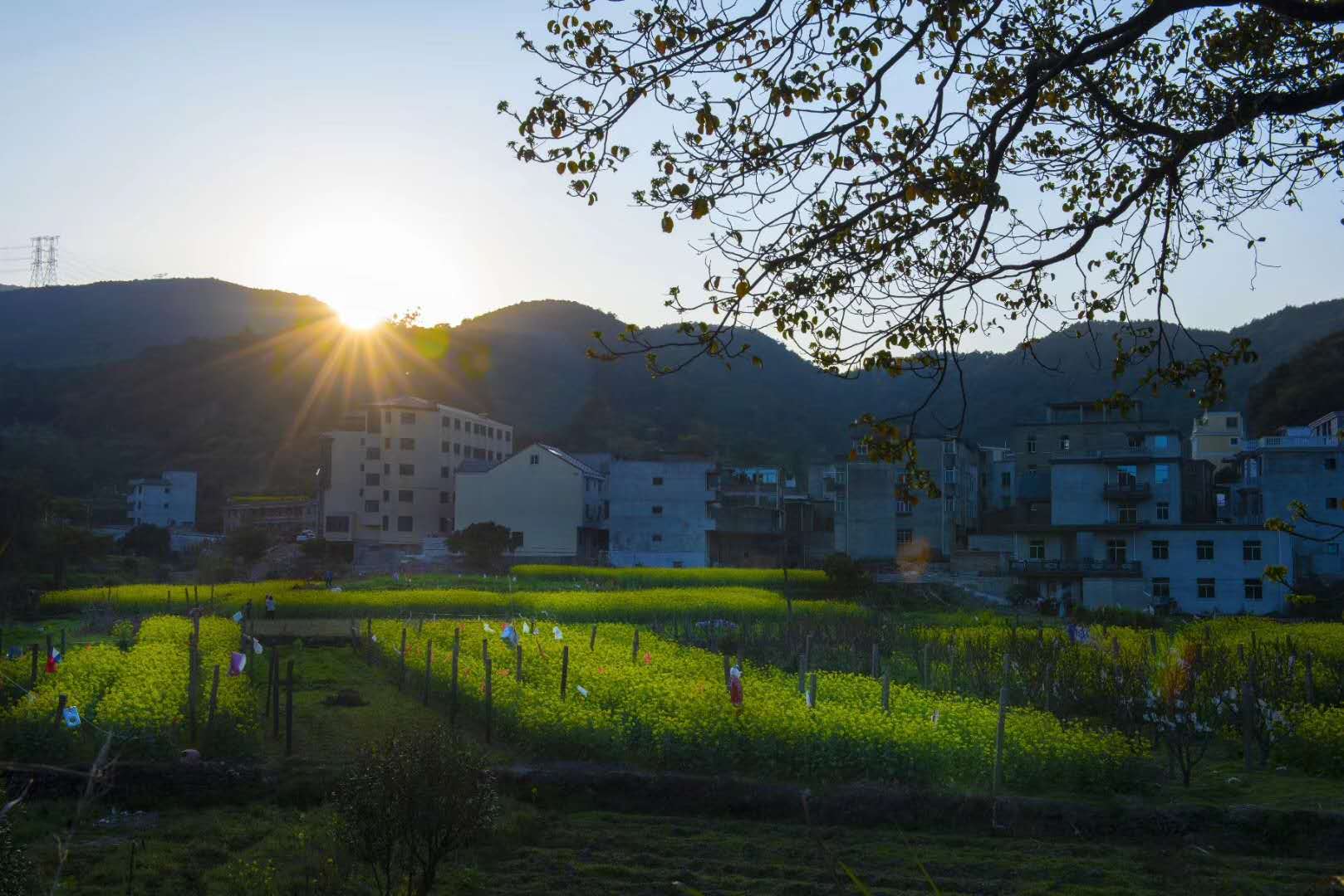 馬臺(tái)風(fēng)情